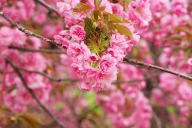 上海宝山区5线下个人借款平台一站式服务，轻松解决资金难题
