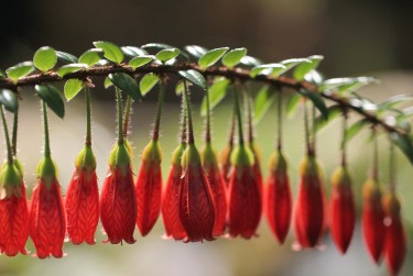 上海宝山区5零用贷短借：轻松解决临时资金需求