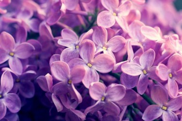 上海宝山区5企业急用钱贷款攻略：快速融资解燃眉之急